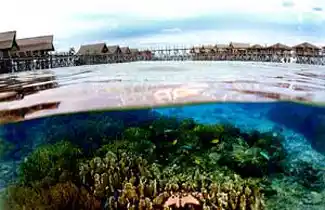 Stunning split-shot of Kapalai Resort, showing the luxury overwater chalets above and the vibrant coral reef teeming with marine life directly below.