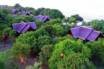 Aerial top-down view of the resort chalets at Mataking Island, with their rooftops peeking through the lush green canopy of the surrounding forest.