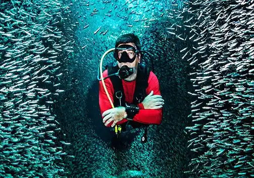 Scuba diver completely enveloped by a massive, swirling school of baitfish, a breathtaking underwater experience while diving at Layang Layang.