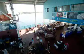 Overhead view of the bustling main deck at Seaventures Dive Resort, where guests relax and prepare for dives on the converted oil rig platform.