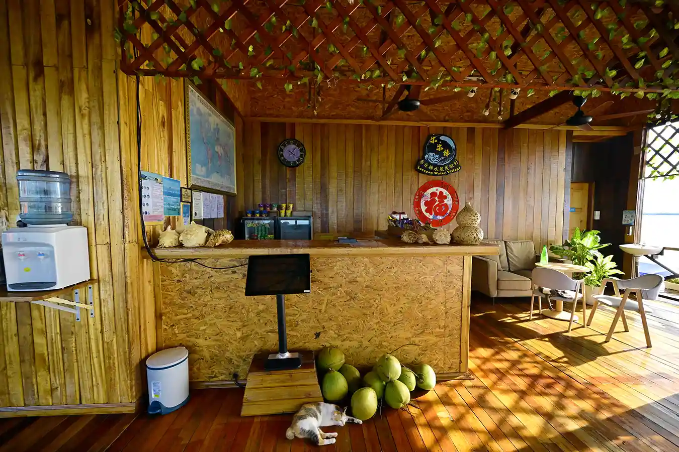 Casual and rustic restaurant and reception area at Larapan Water Village, with fresh coconuts and a sleeping cat adding to the laid-back island charm.
