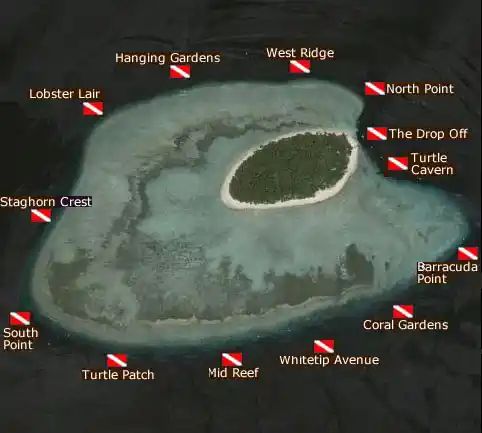 Sipadan island dive map laid over a satellite image, showing the locations of legendary dive sites like Barracuda Point, Turtle Cavern, and South Point.