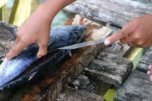 Freshly caught tuna being expertly filleted on a wooden board, ready for a delicious grilled seafood dinner on Mabul Island.