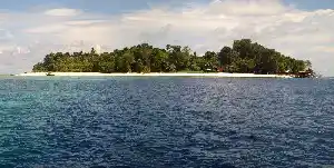 Panoramic view of the lush, jungle-covered Sipadan Island from the sea, showcasing the perfect weather for a day of world-class diving.