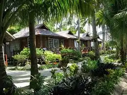 Find your private paradise in a garden cottage at Sipadan-Mabul Resort, surrounded by a lush tropical oasis of palm trees and vibrant greenery on Mabul Island.